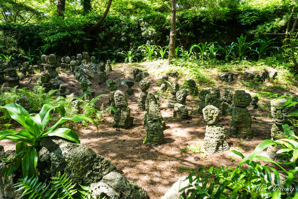 Hallim Park - Jeju-Island