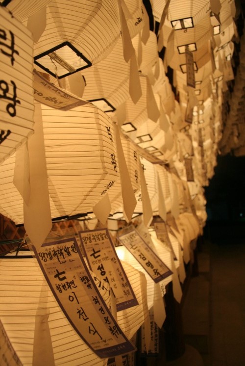 Lotus Lantern Festival Seoul