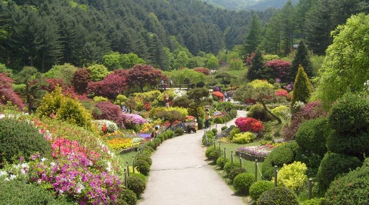 Garden of Morning Calm