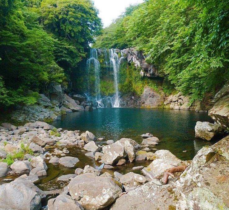 Green Day – Ein Tag für Freundschaft, Natur und Soju