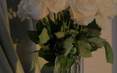 Der Rose Day – Ein Tag für romantische Gesten und blumige Liebesbotschaften