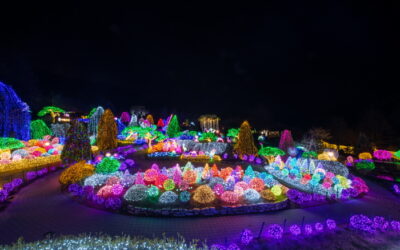 Der Garden of Morning Calm: Ein friedliches Paradies im Herzen Koreas