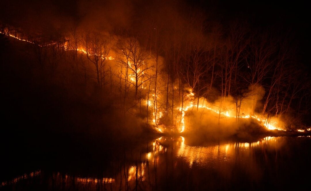 🔥 Wildfires in South Korea – A Nation in Crisis 🇰🇷