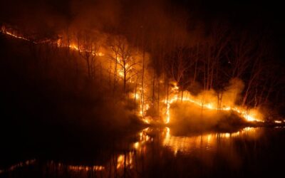 🔥 Wildfires in South Korea – A Nation in Crisis 🇰🇷