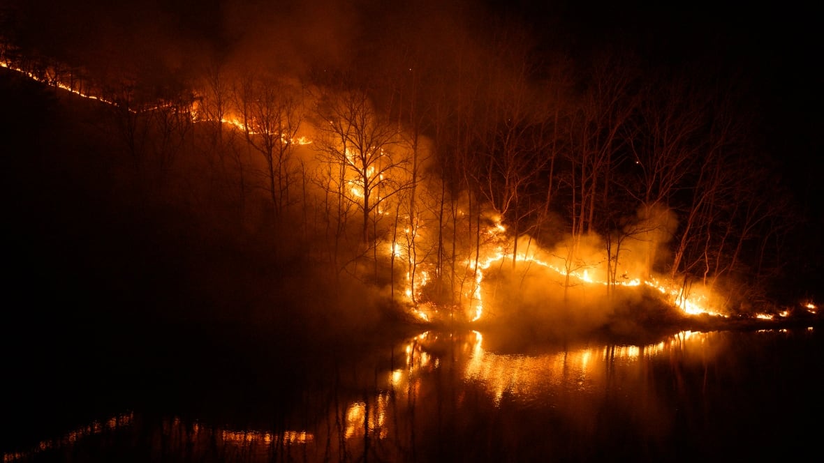 wildfires in south korea